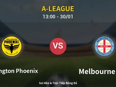 Kết Quả: Wellington Phoenix 2-2 Melbourne City – Highlight & Bàn Thắng | A-League