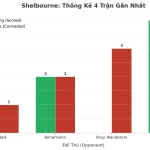 Thống kê Tài Xỉu Shelbourne 2025
