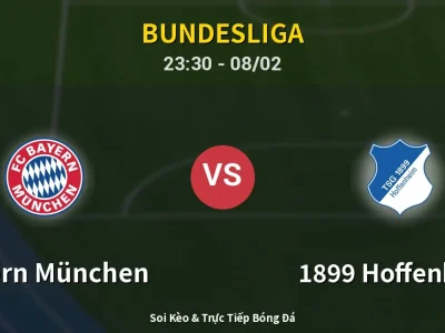 Soi Kèo Bayern München vs 1899 Hoffenheim – 23:30 08/02 | Nhận Định, Dự Đoán Tỷ Số