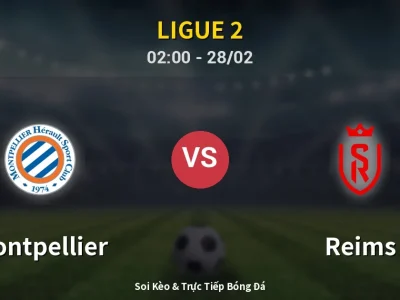 Kết Quả: Montpellier 0-0 Reims – Highlight & Bàn Thắng | Ligue 2