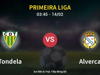 Kết Quả: Tondela 1-1 Alverca – Highlight & Bàn Thắng | Primeira Liga