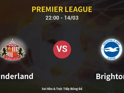 🔴 Trực Tiếp: Sunderland 0-0 Brighton – Link Xem Premier League (Full HD)