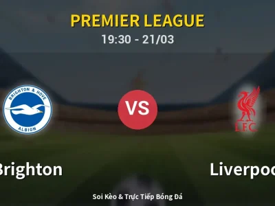 🔴 Trực Tiếp: Brighton 2-1 Liverpool – Link Xem Premier League (Full HD)