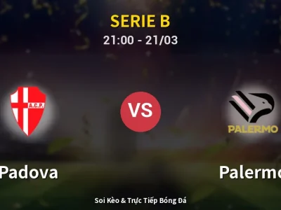 🔴 Trực Tiếp: Padova 0-0 Palermo – Link Xem Serie B (Full HD)