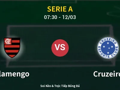 Kết Quả: Flamengo 2-0 Cruzeiro – Highlight & Bàn Thắng | Serie A
